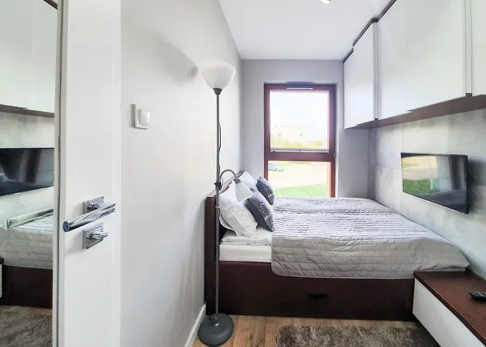 Comfy - Nowa Motlawa